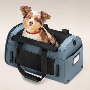 Away Pet Carrier in Coast Blue airline approved